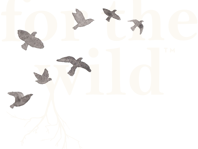 For the Wild Logo